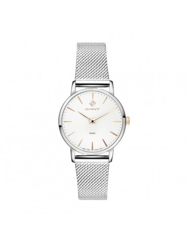 Montre Femme Gant G127010 une grave pollution 