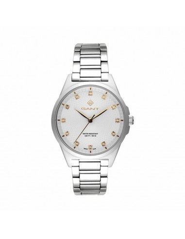 Montre Homme Gant G156001 hantent personnes