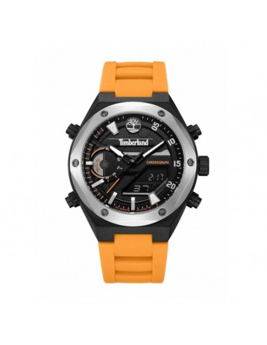 Montre Homme Timberland TDWGP2231402 de France