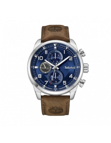 Montre Homme Timberland TDWGF2201106 les ctes