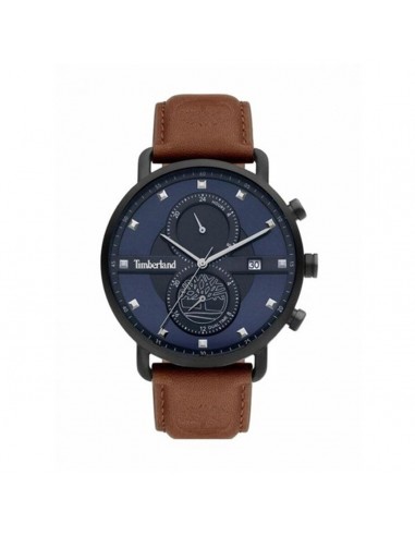 Montre Homme Timberland TDWGF2101003 pas chere