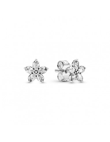 Boucles d´oreilles Femme Pandora 299239C01 shop