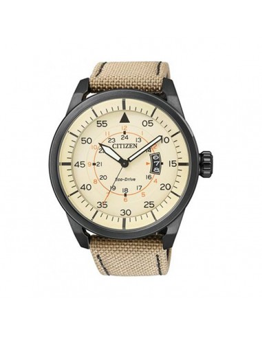 Montre Homme Citizen AW1365-19P prix pour 