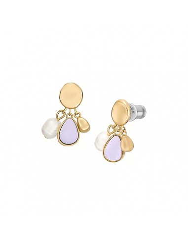 Boucles d´oreilles Femme Skagen SKJ1716710 l'achat 