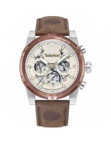 Montre Homme Timberland TDWGF0009403 pas cher