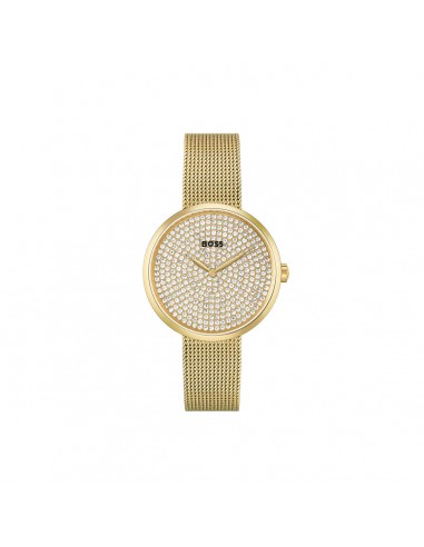 Montre Femme Hugo Boss 1502659 (Ø 36 mm) les ligaments