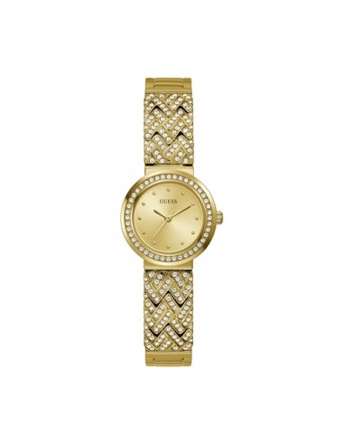 Montre Femme Guess GW0476L2 français