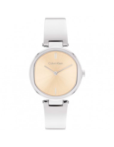 Montre Femme Calvin Klein 1685227 Comment ça marche