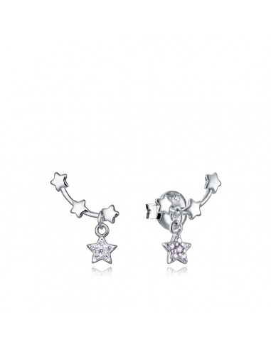 Boucles d´oreilles Femme Viceroy 13075E000-30 de technologie