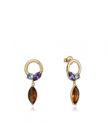 Boucles d´oreilles Femme Viceroy 13101E100-39 de la marque